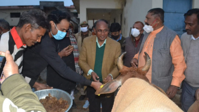 Photo of कान्हा पशु आश्रय केन्द्र का डीएम ने किया औचक निरीक्षण