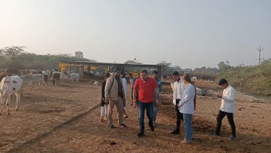 Photo of अमांवा, बेंती व बन्थरा गौशाला निरीक्षण में मिलीं तमाम खामियां