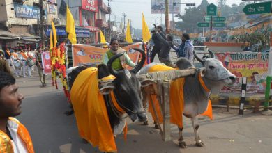 Photo of सुरभि गौ सेवा समिति ने निकाली भव्य शोभायात्रा