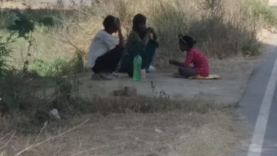 Photo of बन्थरा क्षेत्र में ग्रीष्मकालीन ताड़ी की बहार नशीले पदार्थ के मिश्रण से बनी ताड़ी पीने से मौत को बुलावा