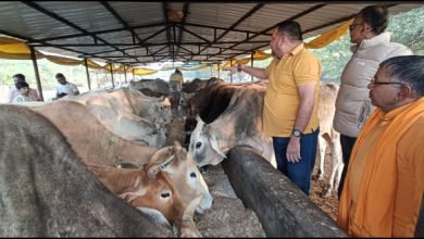 Photo of गौशाला में गोबर गैस प्लांट और गौ मूत्र का उपयोगों होना अवश्यक है- श्याम बिहारी गुप्ता