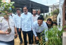 Photo of सरोजनीनगर तहसील में पर्यावरण को हराभरा रखने के लिए एसडीएम व एसीपी ने किया वृक्षारोपड़
