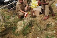 Photo of गोसाईगंज पुलिस ने 1540 लीटर शराब कराई नष्ट
