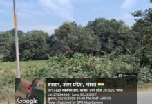 Photo of बरवर में पेड़ों की कटान पर डीएफओ सख्त, बोले—जांच के बाद होगी निष्पक्ष कार्रवाई