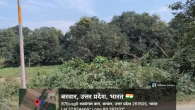 Photo of बरवर में पेड़ों की कटान पर डीएफओ सख्त, बोले—जांच के बाद होगी निष्पक्ष कार्रवाई