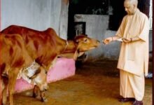 Photo of योगी सरकार की पहलः दिवाली पर ‘एक दीया गोमाता के नाम’ अभियान, युवा लेंगे गो संरक्षण का संकल्प