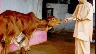 Photo of योगी सरकार की पहलः दिवाली पर ‘एक दीया गोमाता के नाम’ अभियान, युवा लेंगे गो संरक्षण का संकल्प